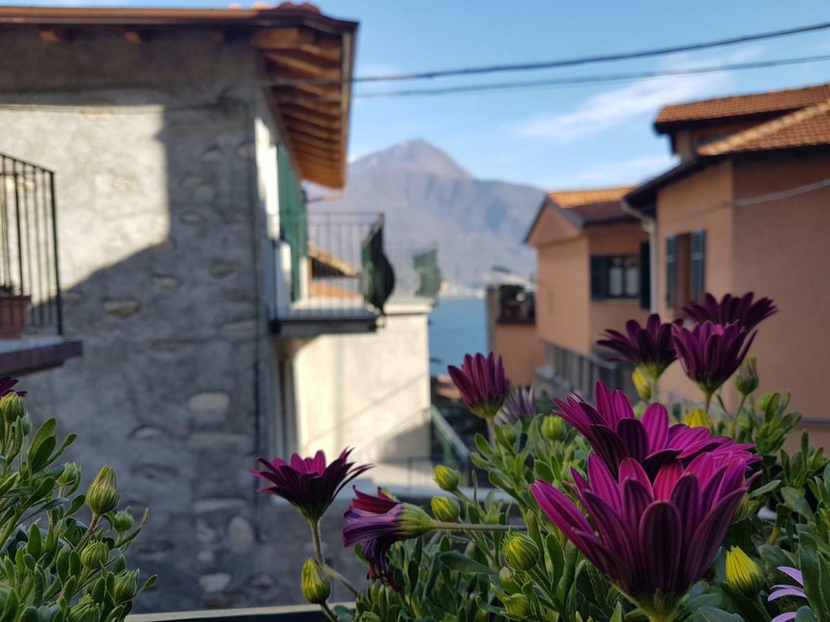 Villa Il Torchio Musso Esterno foto